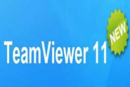 TeamViewer Corporate Premium Server Enterprise 11